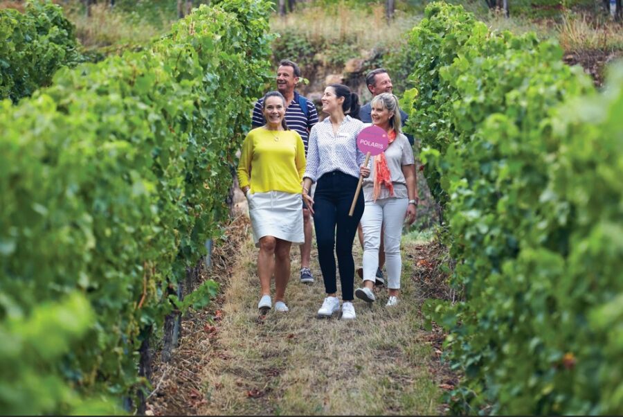 Holidaymakers enjoying a relaxed walk through lush green vineyards on a European river cruise. Sunlight dappling the leaves creates a picturesque scene. Experience local culture and stunning landscapes.