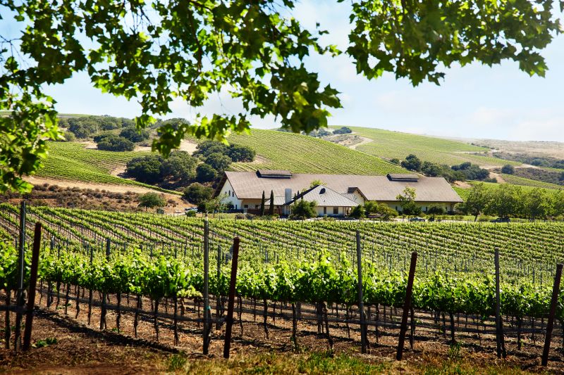 Pacific Wine Country 5-Star Cruise