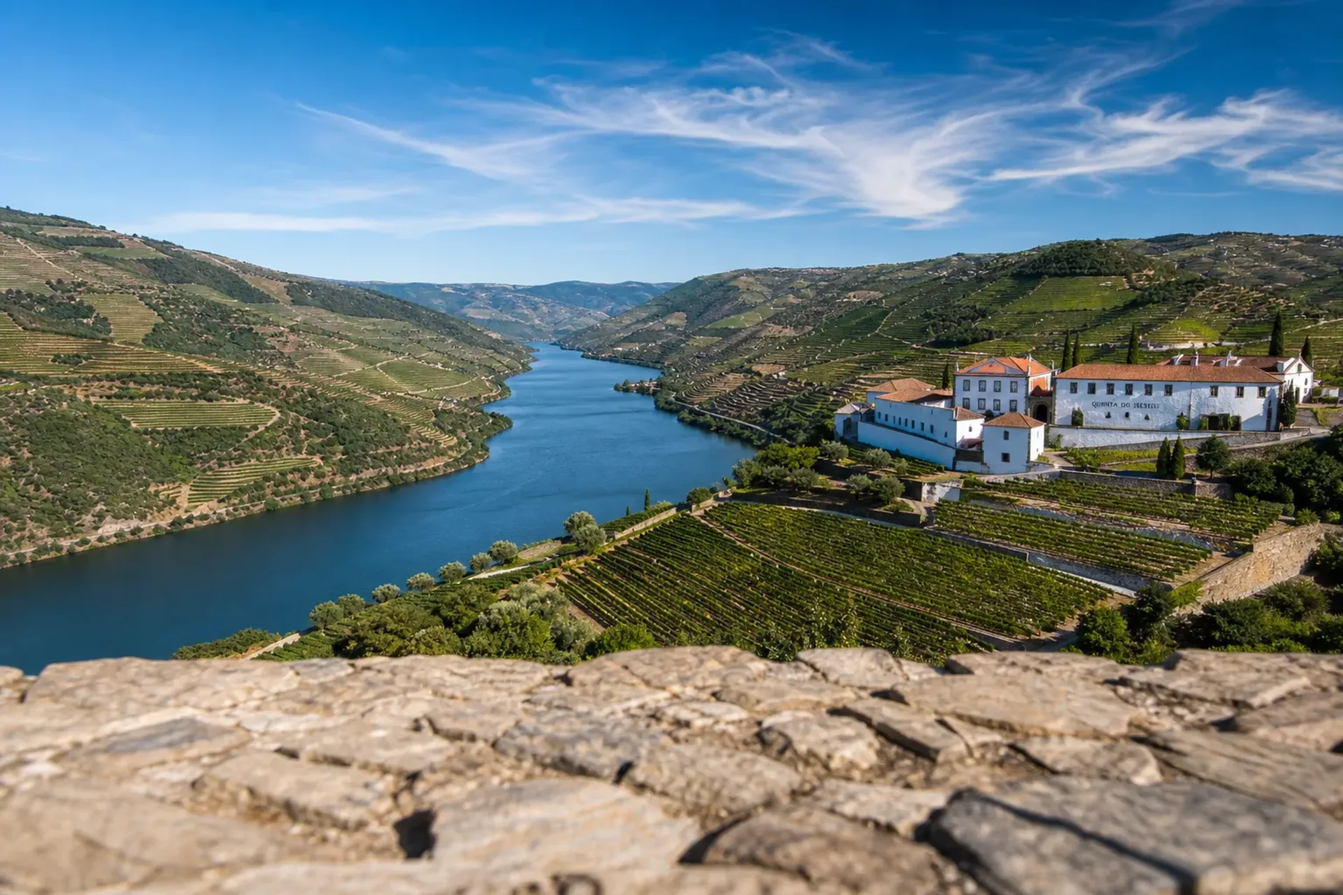 Portugal-A sunny view of terraced vineyards and the river on a Douro Discovery cruise in Portugal.